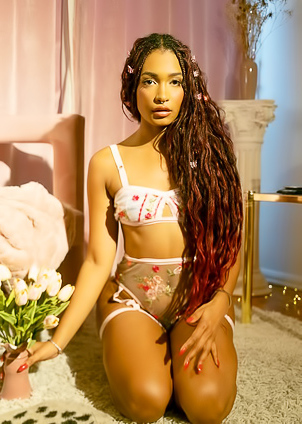 Addis Fouche Cozy Place